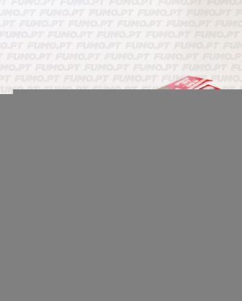 Smoking King Size Gold + Tips