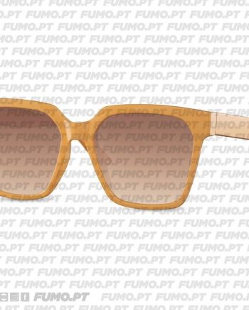 Belglass Óculos Sol 6012